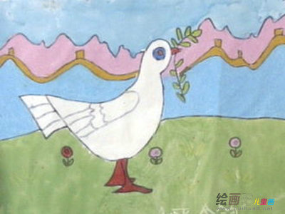 和平鸽