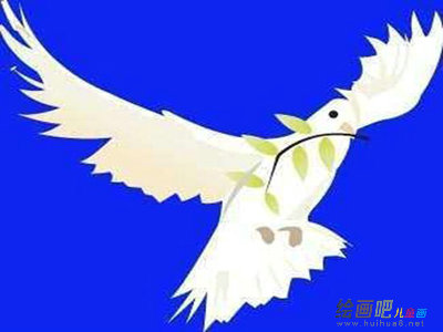 和平鸽