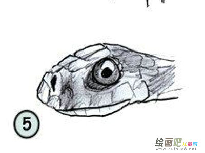 蛇
