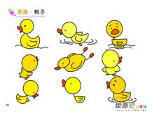 小鸭子简笔画：可爱的小鸭子