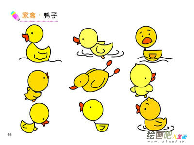 鸭子