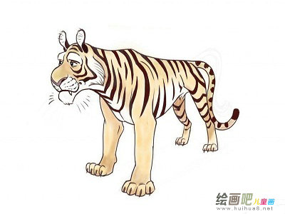 老虎