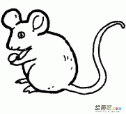小老鼠简笔画：胆小的老鼠