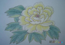 彩色铅笔画：铅笔的选购