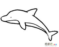 海洋生物简笔画：潜水冠军——抹香鲸