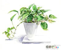 水彩画：水彩