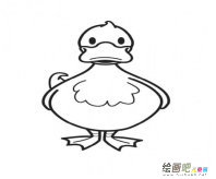 小鸭子简笔画：简笔画小鸭子
