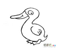 小鸭子简笔画：小鸭子学本领