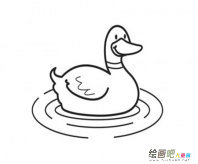 小鸭子简笔画：简笔画动物