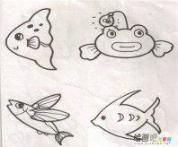 海洋生物简笔画：海洋生物