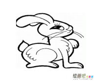 兔子简笔画：适合孩子学习的简笔画