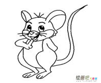 小老鼠简笔画：我家养了一只小老鼠