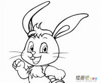 兔子简笔画：我的小兔菲比