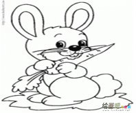 兔子简笔画：外婆家的小兔