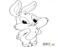 兔子简笔画：我的小兔子
