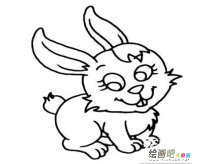 兔子简笔画：我的兔宝宝