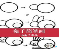 兔子简笔画：我家后院的小白兔