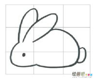 兔子简笔画：我的特殊朋友