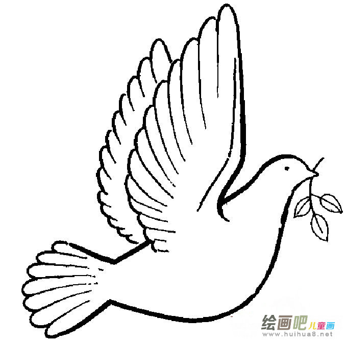 和平鸽简笔画：放飞我心中的和平鸽