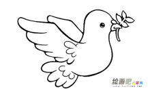 和平鸽简笔画：太空使者和平鸽
