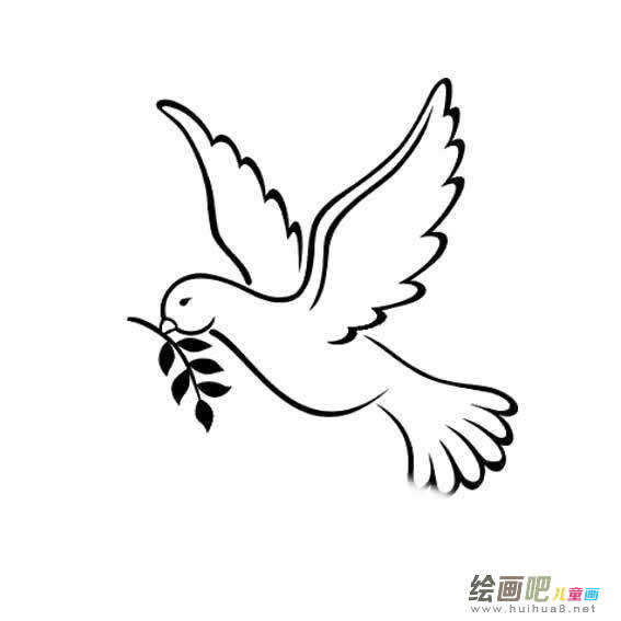 和平鸽简笔画：哦，和平鸽