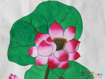 水彩画：盛开的红莲水彩画