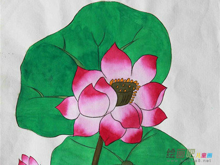 水粉画：盛开的红莲