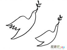 和平鸽简笔画：爱情之鸽