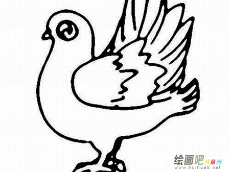 和平鸽简笔画：和平鸽是和平的象征