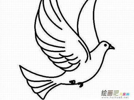 和平鸽简笔画：和平鸽的地位