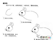 兔子简笔画：兔子的生活习性