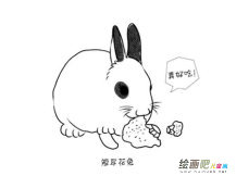 兔子简笔画：辨别兔子的声音