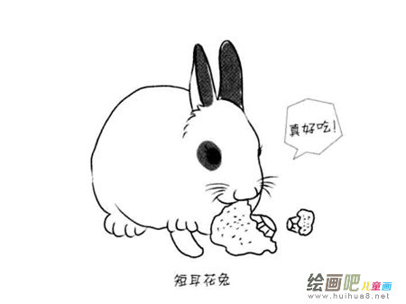 兔子简笔画：辨别兔子的声音