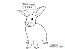 兔子简笔画：观察兔子的动作活动