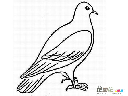 和平鸽简笔画：飞翔的和平鸽