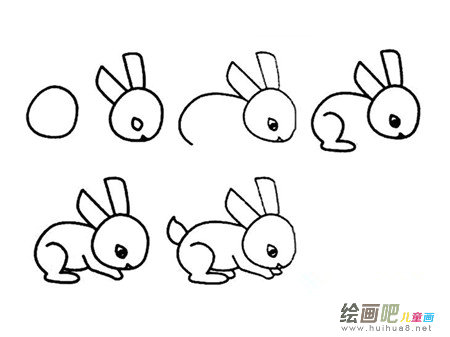 兔子简笔画：兔子的繁殖方式