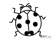 七星瓢虫简笔画：关于瓢虫的科普知识