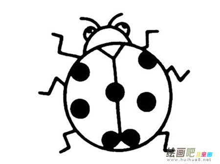 七星瓢虫简笔画：关于瓢虫的科普知识