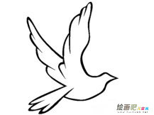 和平鸽简笔画：和平鸽在哭泣