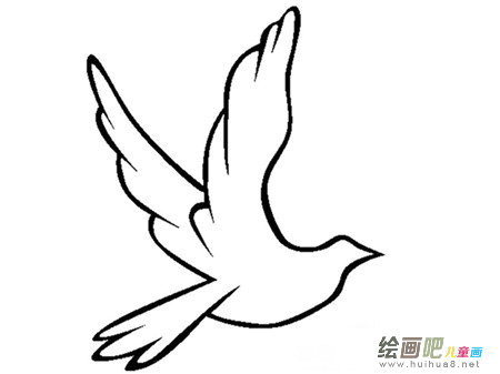 和平鸽简笔画：和平鸽在哭泣