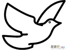 和平鸽简笔画：和平鸽的呼吁