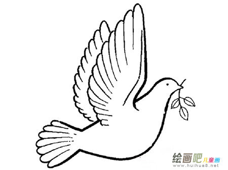 和平鸽简笔画：放飞你我心中的和平鸽