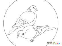 和平鸽简笔画：带着和平飞过