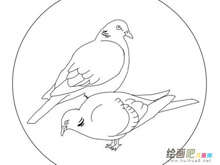 和平鸽简笔画：带着和平飞过