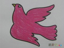 和平鸽简笔画：我愿我是一只和平鸽