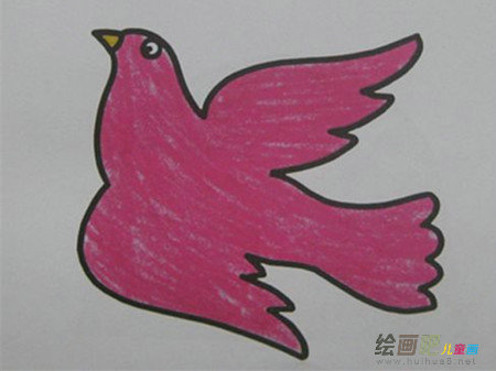 和平鸽简笔画：我愿我是一只和平鸽