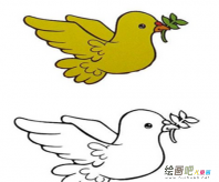 和平鸽简笔画：和平鸽的心愿