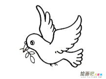 和平鸽简笔画：我仿佛变成了一只和平鸽