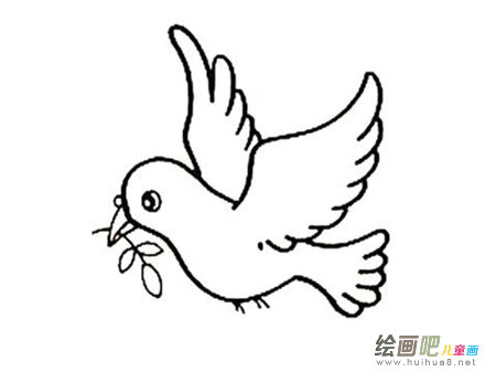 和平鸽简笔画：我仿佛变成了一只和平鸽
