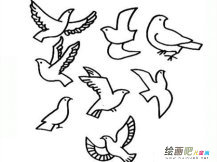 和平鸽简笔画：愿做和平鸽